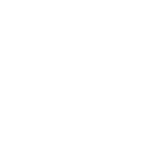 Dealflow logo white