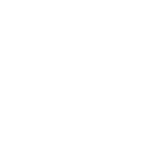 TNW.png